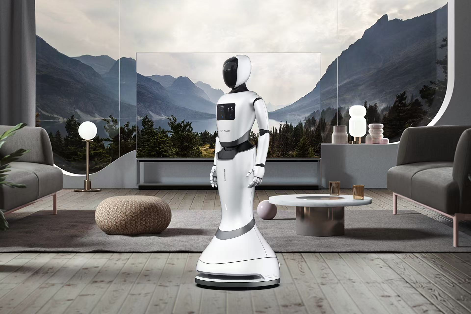 人形機器人(圖3)